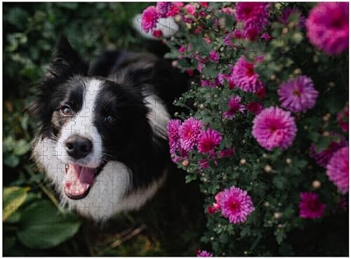 Rompecabezas de 500 piezas para adultos, diseño de perro y flores de Border Collie en blanco y negro