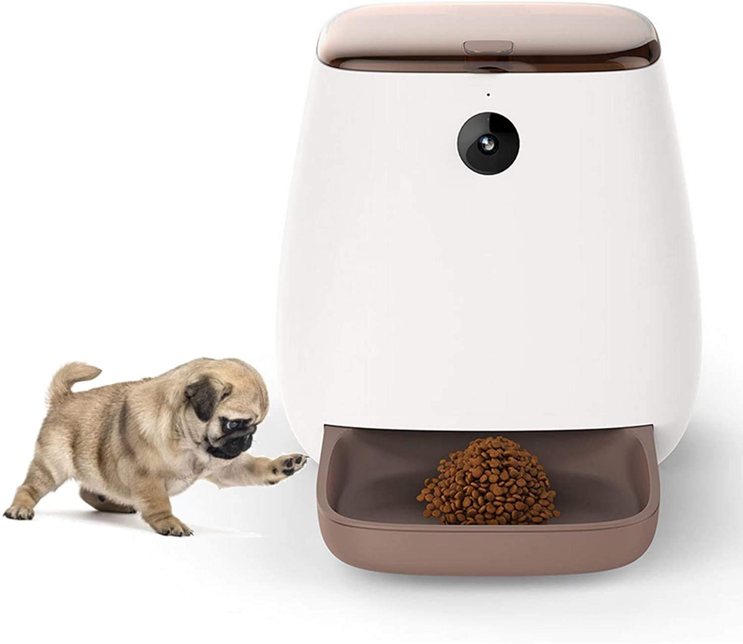 Alimentatore per animali domestici 4L, alimentatore automatico di gatti |Alimentatore del distributore di cibo per cani per cani Auto PET AUTO PET per cucciolo di gattino - Cucciolo di gattino -