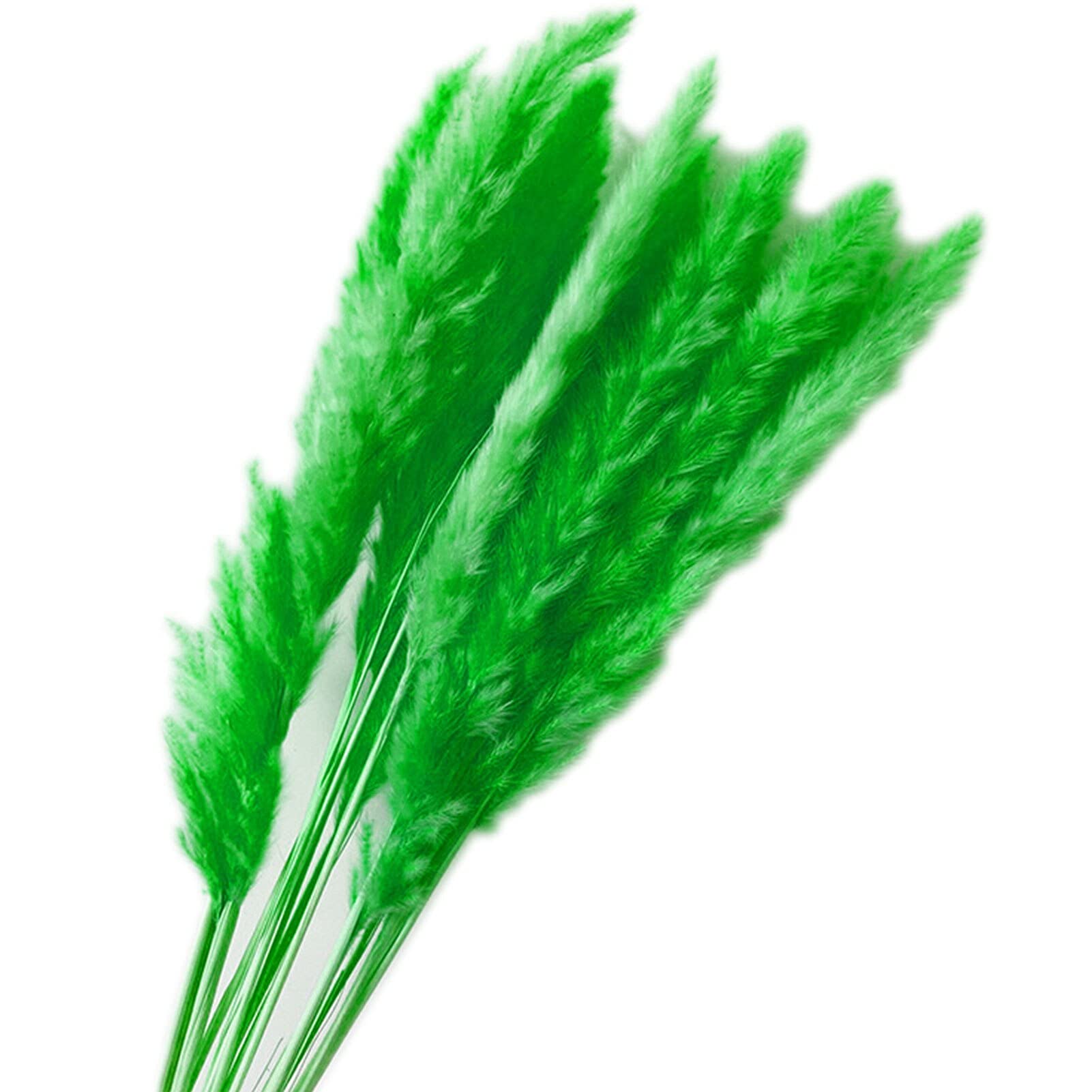 YIWOYI 15Pcs Dried Reed Flower Arrangement Natural Pampas Grass Phragmites Communis Plants Bouquet for Modern Home Decoration (Green)