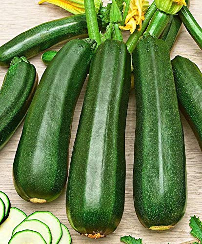 Green Zucchini Vegetable Seeds Pack of 30 Seeds By Live Green (B09RPS29ZK) Amazon Price History, Amazon Price Tracker