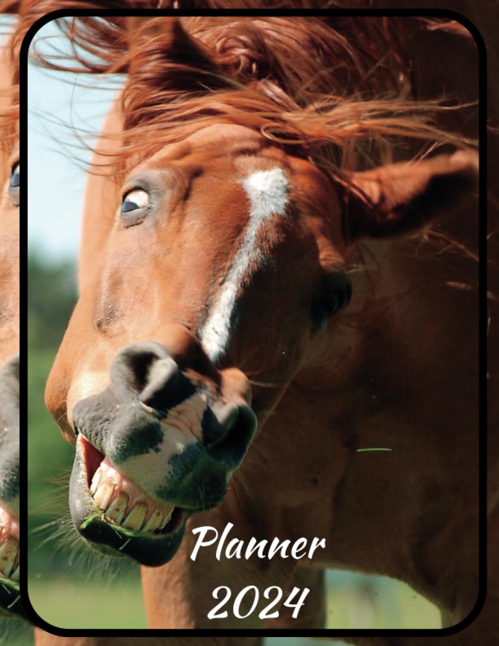 Funny Horse: 2024 Daily Planner/Calendar - Weekly & Monthly Pocket Planner-12 months (January to December) Planner by AT-A-GLANCE- Dated Planner, Funny Office Supply: 8.5x11- Pretty, Simple, Cute