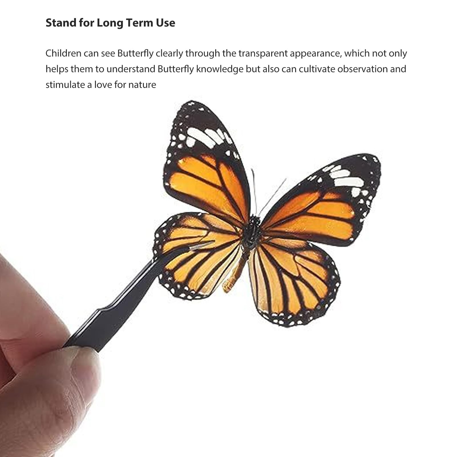 Tyenaza Kit D'outils pour Spécimens D'insectes, 8 Feuilles De Presse à Papier, Planche à Papillons en Mousse EVA, 100 épingles Papillon en Acier Inoxydable pour la Collecte De Spécimens De Papillons