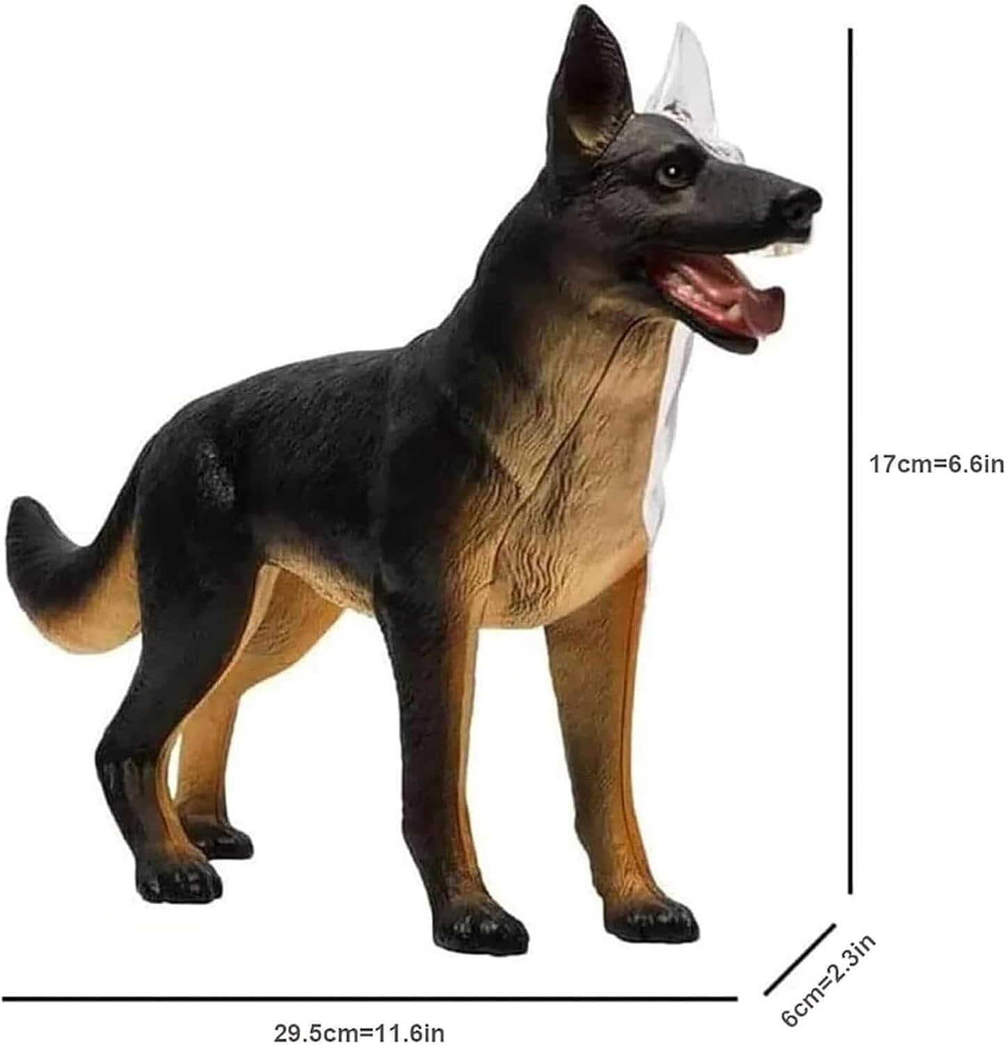 4D Dog Anatomy Model with 29 Detachable Parts for Teaching Demonstration and Training