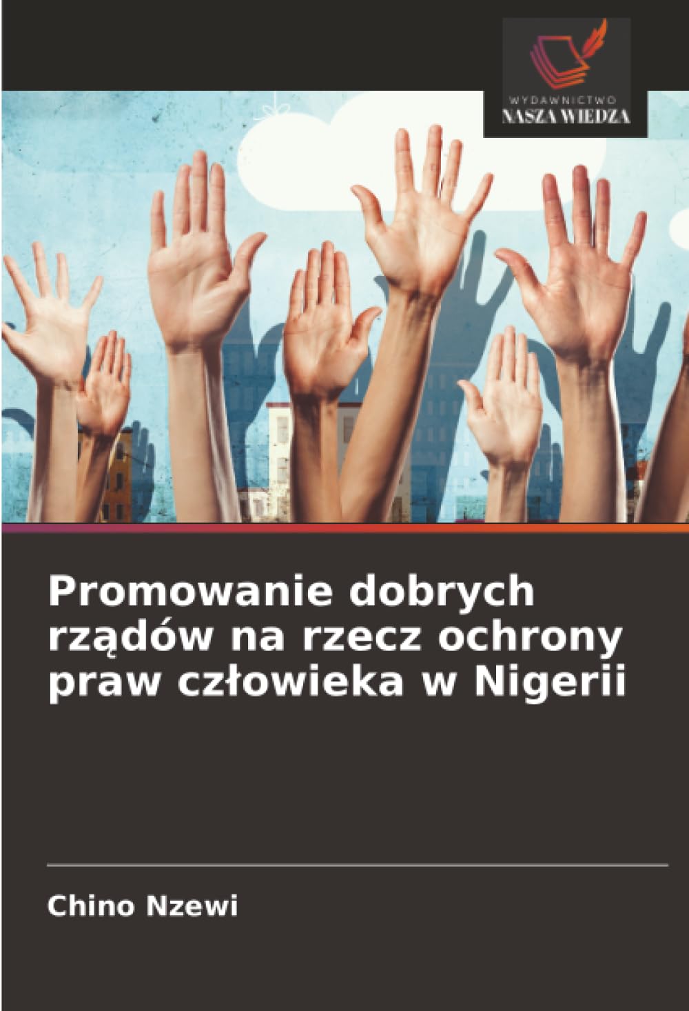 Promowanie dobrych rządów na rzecz ochrony praw człowieka w Nigerii