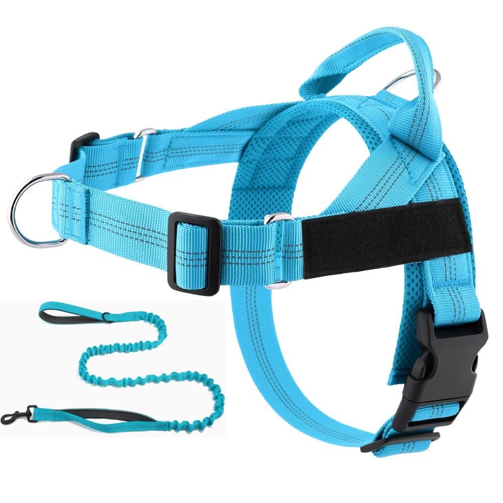 veltrioitalia - Pettorina Veltrio – Stop agli Strattoni, Controllo Totale (blu,M)