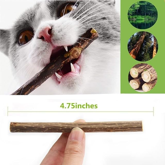 Foto 4 de 7 de Aidiyapet Masticar Palos Gato, Palitos de Hierba Gatera Matatabi Catnip Juguetes Hierba Gatera para Gatos…