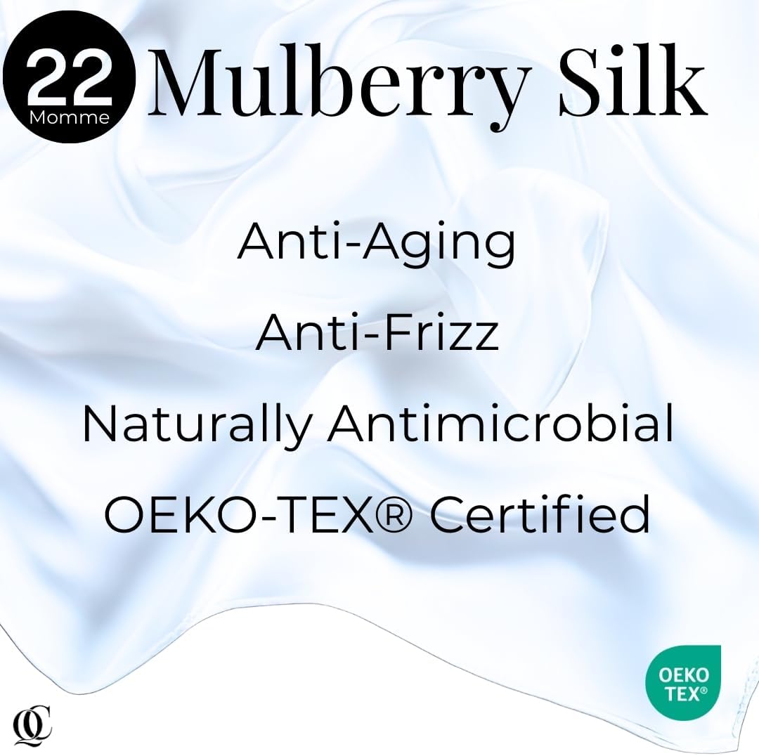 QUIET COVE 100% Pure Mulberry Silk - 22 Momme 6A High-Grade Fibers - Silk Pillow Cover for Hair & Skin - Luxury Gift Box - Envelope Style Pillowcase, No Zipper - (White - Queen (30x20in))