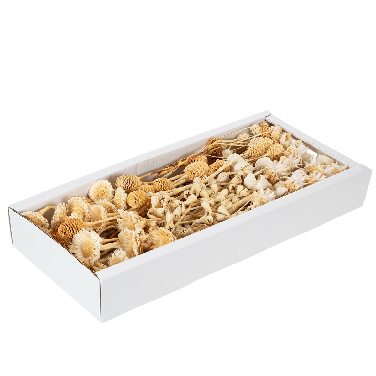 Trockenblumen Mix 60St Deko Exoten Sortiment Gebleicht für Floristik und Tischdeko, 60 Stück