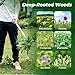 Walensee Weed Puller, Stand Up Weeder Hand Tool, Long Handle Garden Weeding Tool with 3 Claws, Hand Weed Hound Weed Puller for Dandelion, Standup Weed Root Pulling Tool and Picker, Grabber (1 Pack)