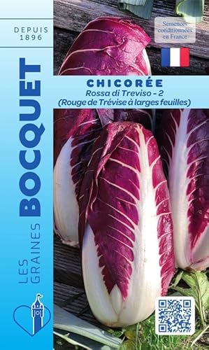 Sachet de graines de Chicorée à large feuille Rosa di Treviso 2 (rouge de Trèvise) - 4 g - légume feuille - LES GRAINES BOCQUET