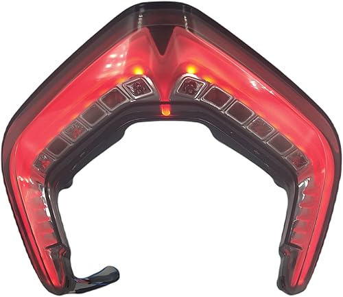 Miniatura 2 de FIT Ducati - Luz trasera ahumada para Panigale V2 V4 V4S V4R Speciale 2018-2022