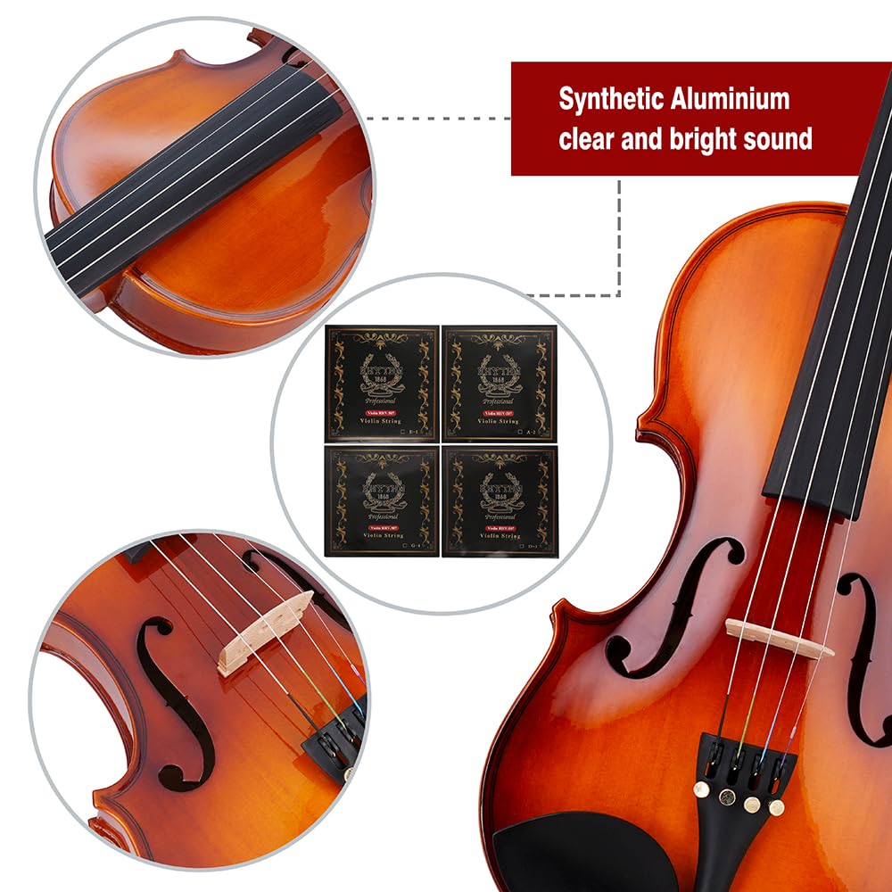 Rhythm 1/2 Violine Set halbe Größe für Anfänger mit Hartschalenkoffer, Kolophonium, Schulterstütze, Bogen und extra Saiten