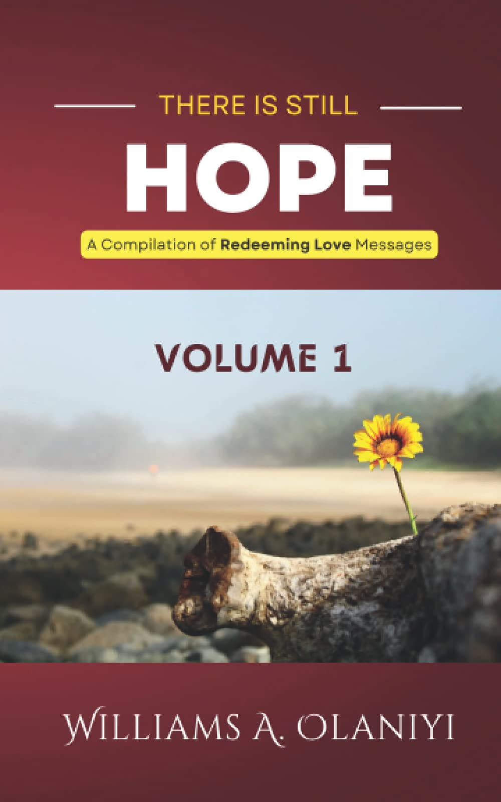 There is Still Hope (Volume 1): A Compilation of Redeeming Love Messages (Hope Series)