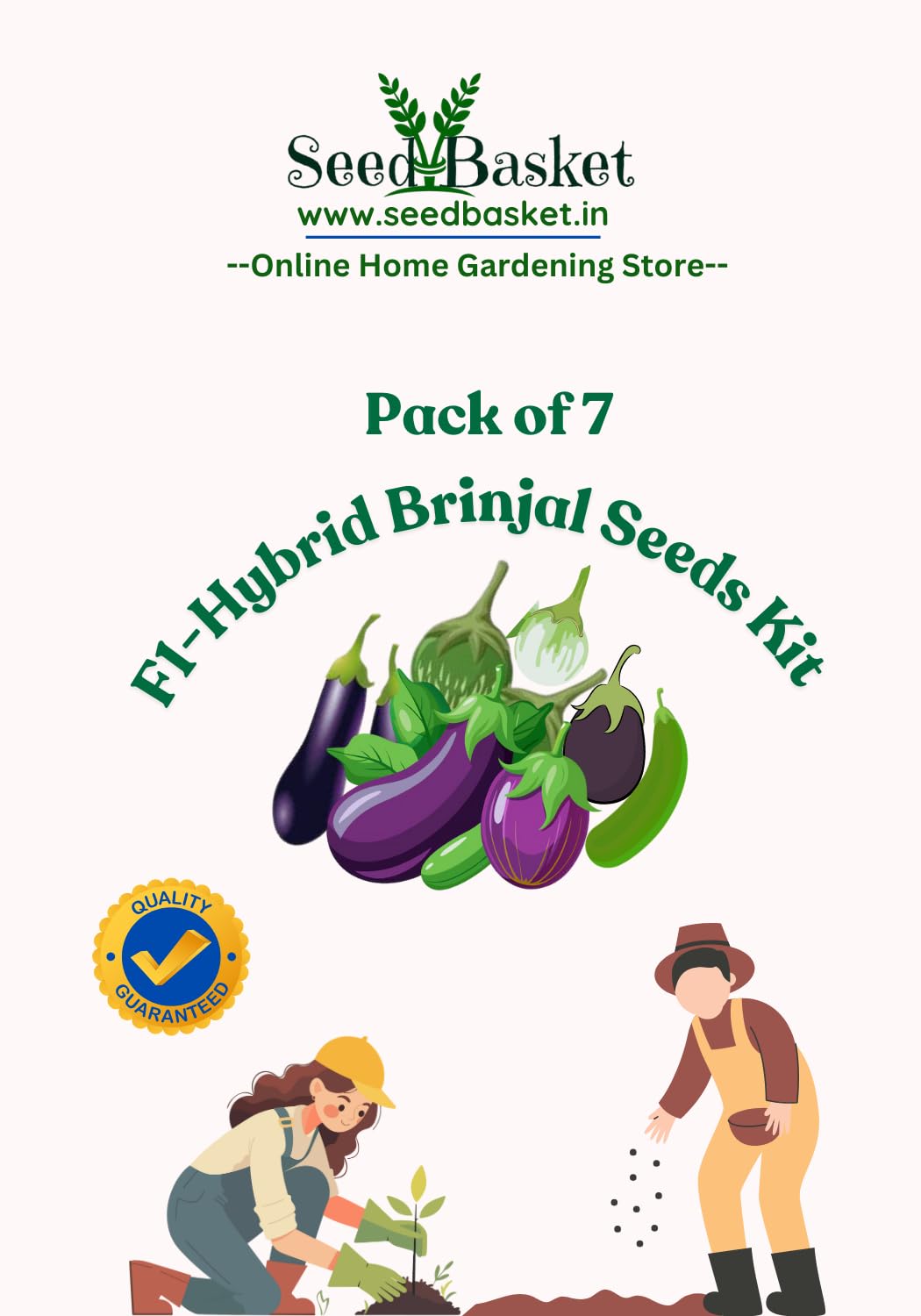 Seed Basket Brinjal Seeds Pack of 7 Varieties | 400+ Hybrid & Non-GMO Seeds | 90%+ Germination | Ideal for Home Gardening, Terrace Farming, and Vegetable Planting - Image 5 thumbnail