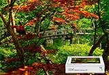 Premium Basswood Jigsaw with Glue - Japanese Garden Kyoto,20.6 X 15.1 inch - 300 Piece Jigsaw Puzzle