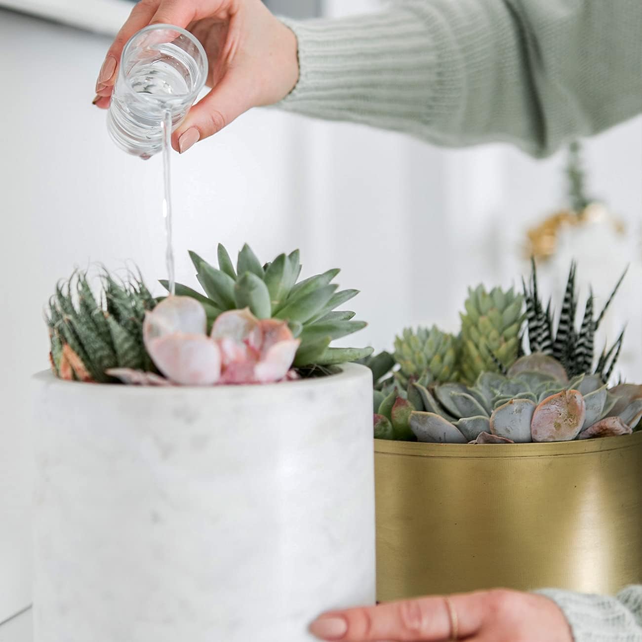 Succulent & Cactus Soil Mix by Perfect Plants (1QT)