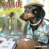 Crusoe the Celebrity Dachshund 2018 Calendar