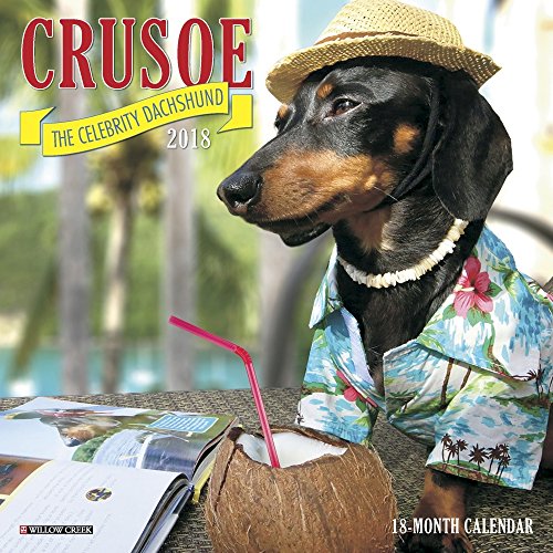 Crusoe the Celebrity Dachshund 2018 Calendar