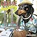 Crusoe the Celebrity Dachshund 2018 Calendar