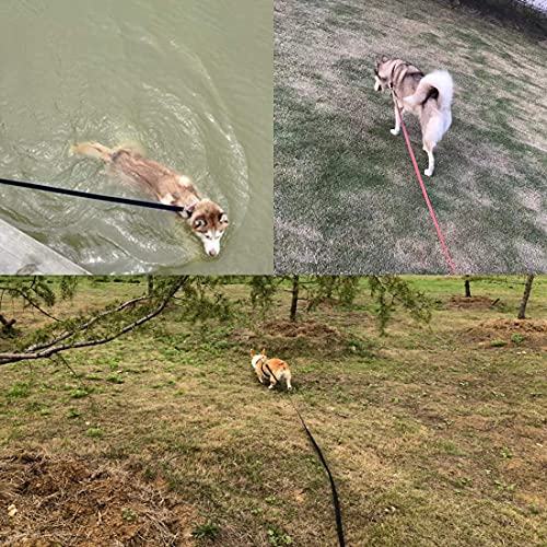 Juzishangdian Guinzaglio per Cani 10M Guinzaglio