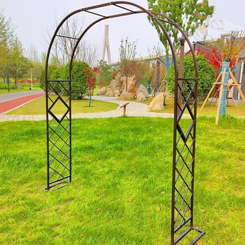 Arche de jardin en métal robuste pour plantes grimpantes et décorations extérieures