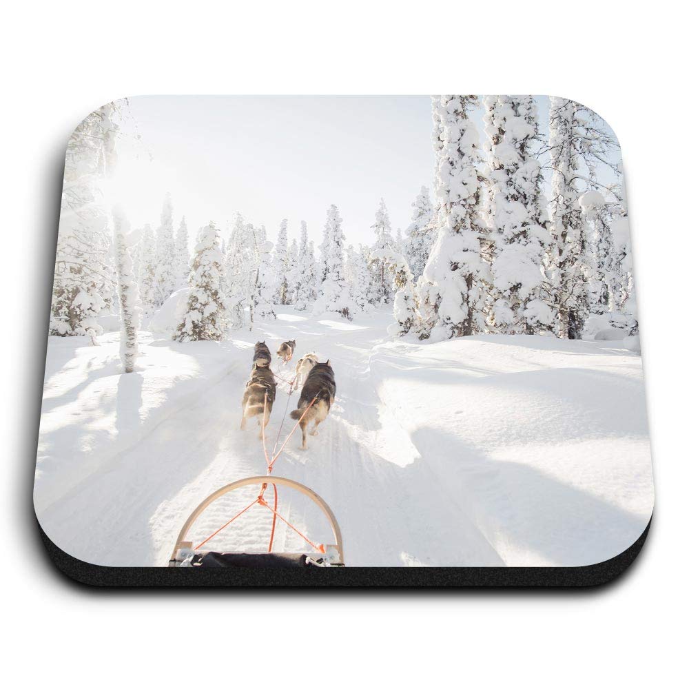 Destination Vinyl Ltd Multicolor 1 X Square Mdf Fridge Magnet - Dog Sled Husky Sledge Winter Snow 44888