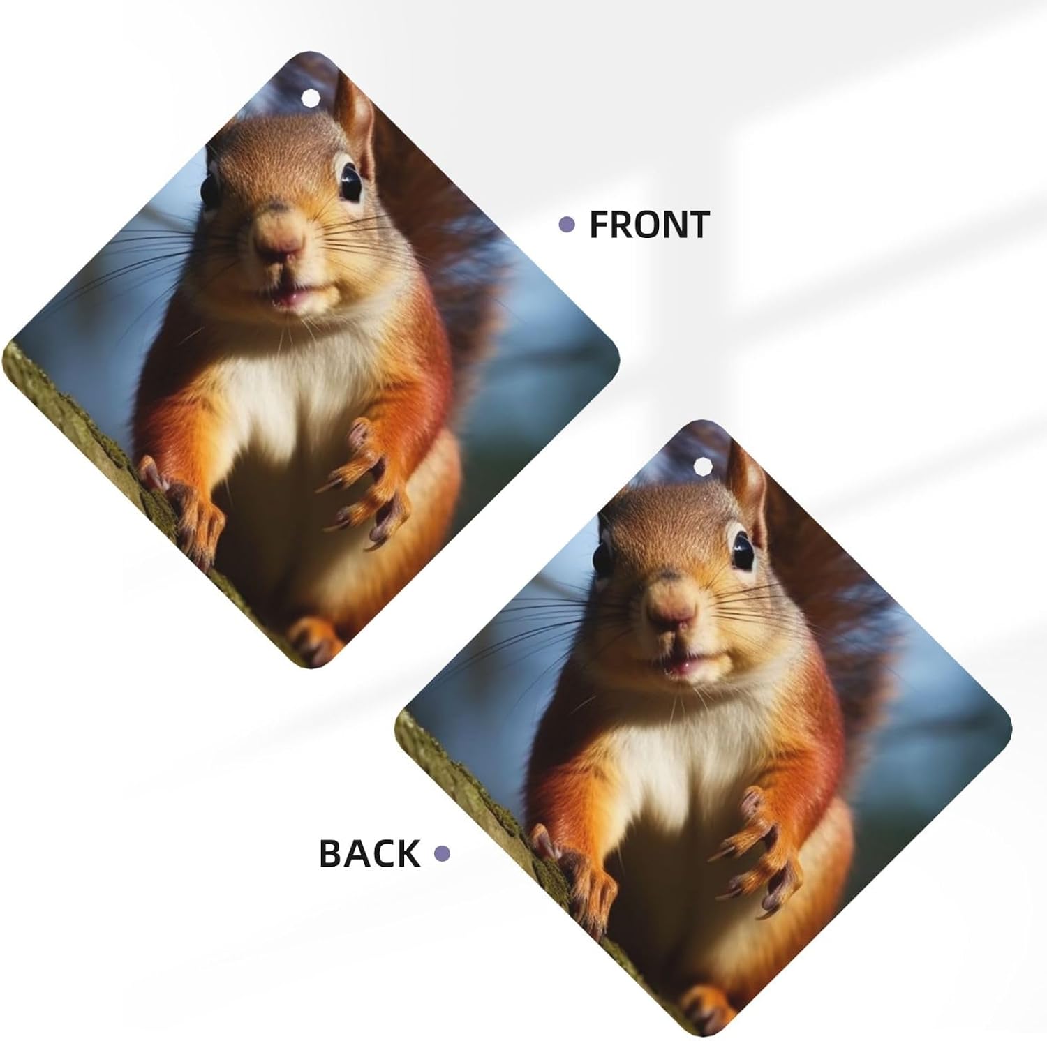 Squirrel Funny Animal Car Air Fresheners Cards Set of 4 Pieces Hanging Scented Cards for Wardrobe Bathroom Car Aromatherapy Tablets Rearview Mirror Pendant Car Fresheners Long Lasting image 3