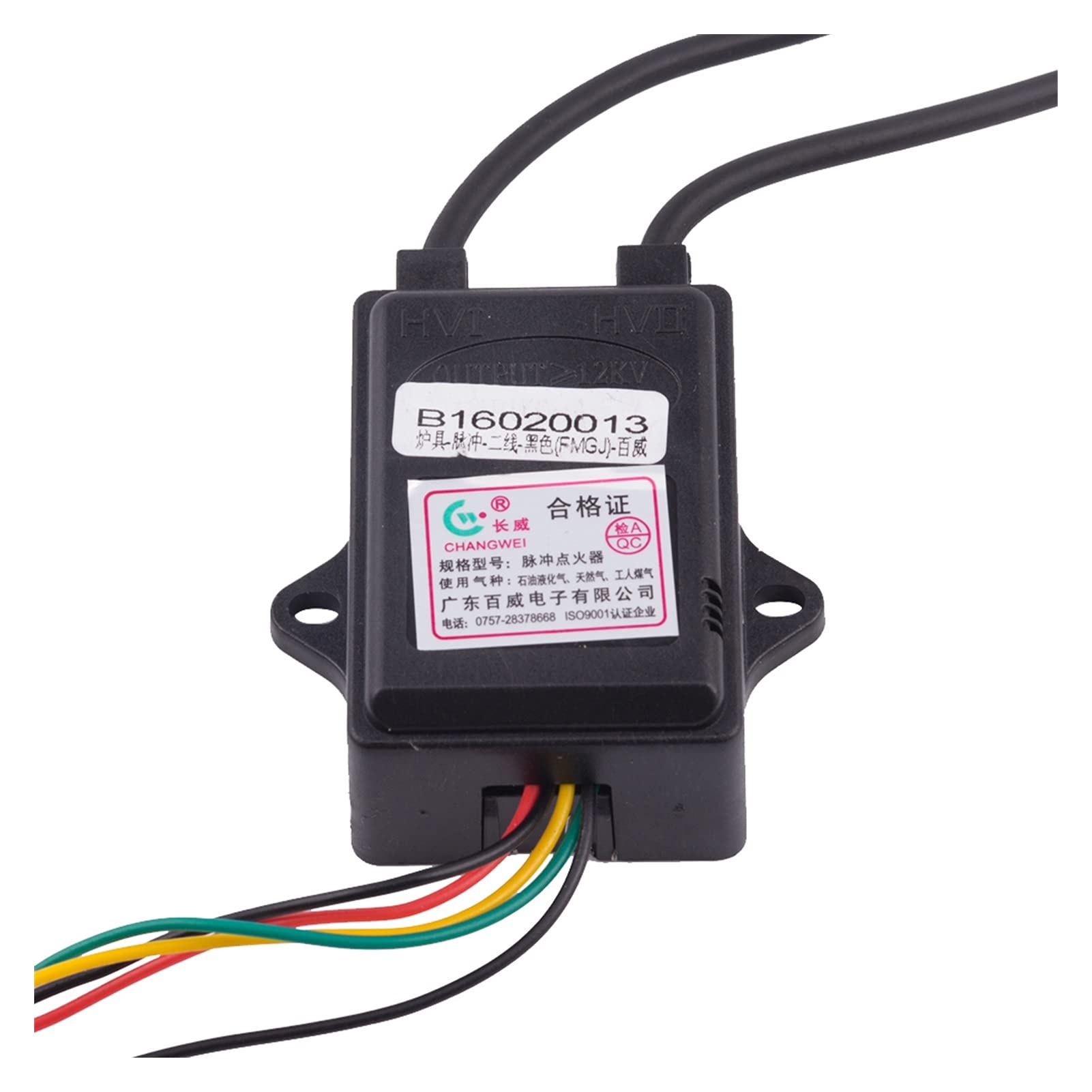 Buy FangFang Two Lines Burner Igniter 1.5V Water Heater Electric Pulse