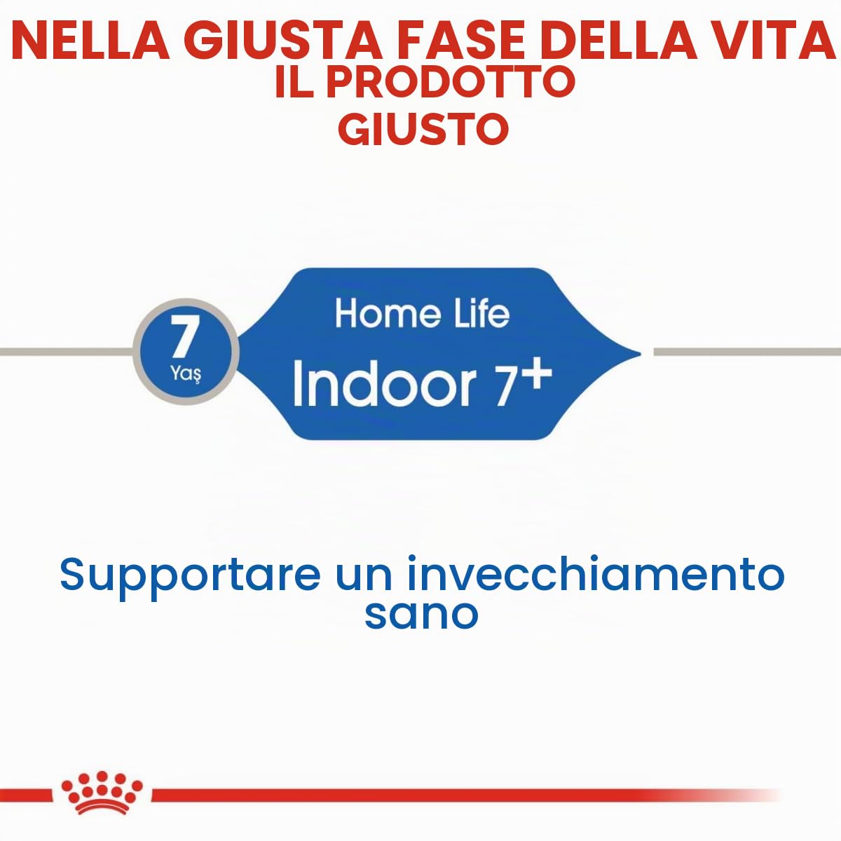 Royal Canin C-584995 Indoor +7-3,5 kg