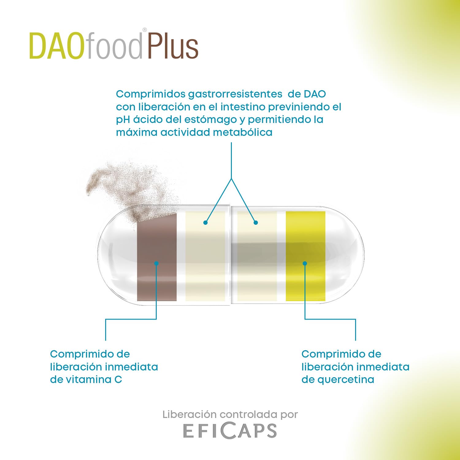 Pack DAOfood + DAOfood Plus – Suplemento Enzimático DAO para Intolerancia a la Histamina y Déficit de Diamino Oxidasa – Cápsulas Gastroresistentes con Quercetina y Vitamina C – Bienestar Digestivo