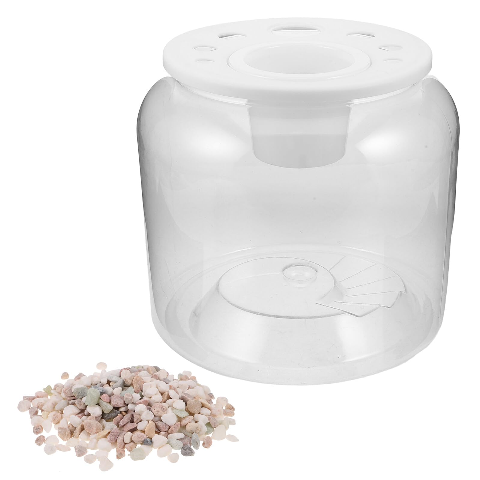 Terrarium transparent pour tortues plastique anti-fuite facile à nettoyer