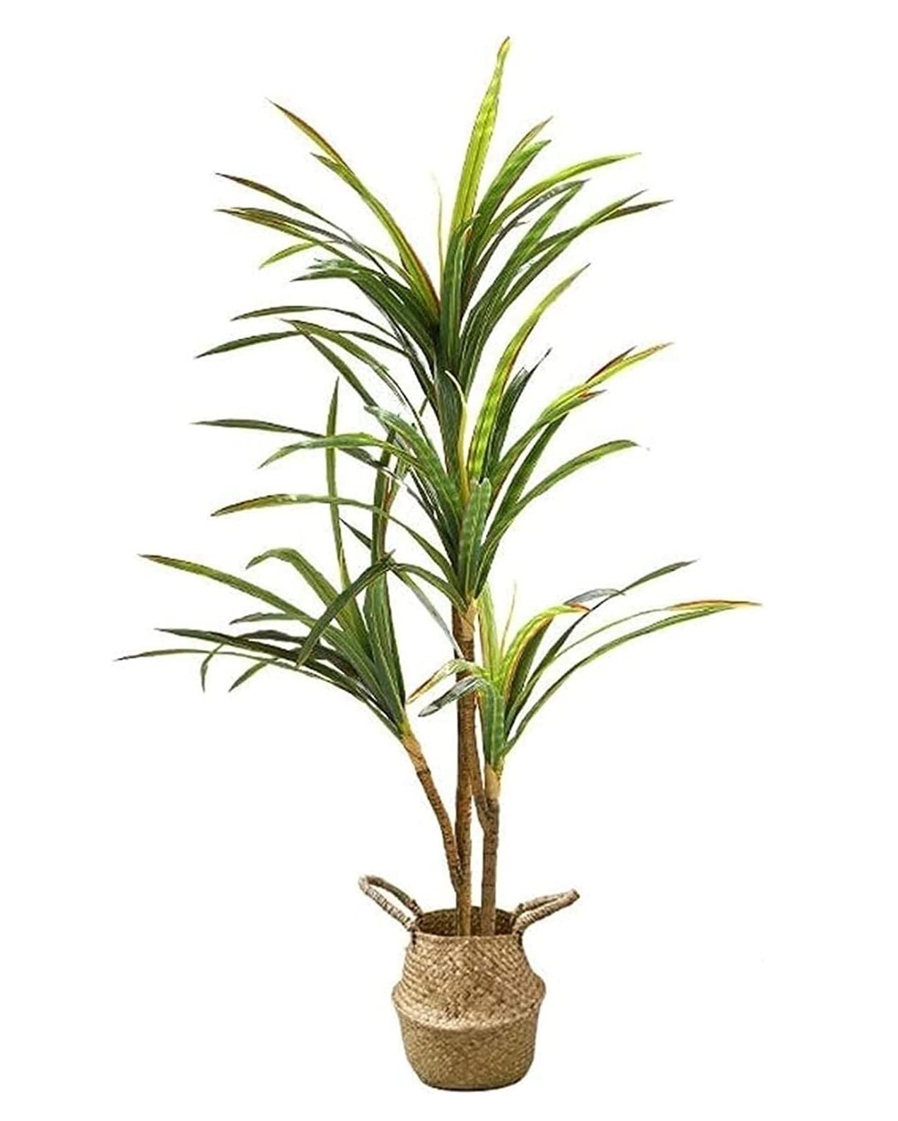 CVdrtyED Artificial Tree Plant Artificial Tree Includes Pot Dracaena Plants Greenery Simulation Home Green Decor Potted Decor(C)