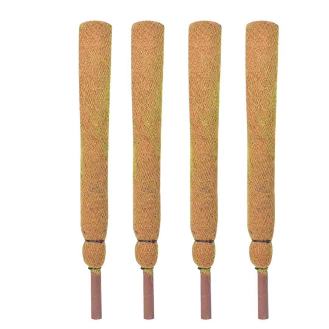 2 Ft (60 cm) [Set of 4] Coco Coir Stick Pole Moss Stick for Climbing Money Plant, Indoor and Outdoor Plants, Housing Plants Support,Climbers (B0B9BYLB4H) Amazon Price History, Amazon Price Tracker