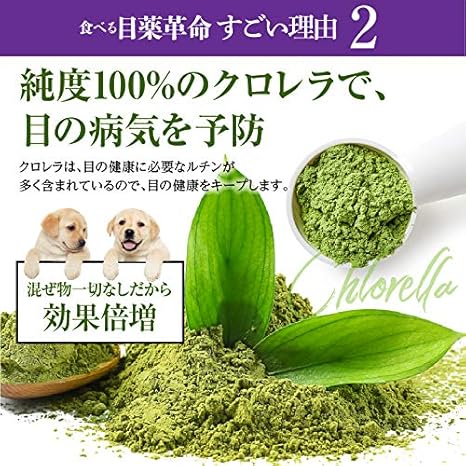 Amazon 犬 ペットの目の健康維持に ワイルド ブルーベリー 目の革命 アイケアセット 無添加 おやつ サプリ ドッグダイナー 目のケア 通販