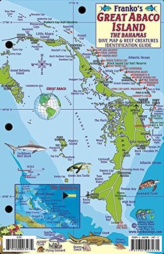 Great Abaco Island Bahamas Dive Map & Reef Creatures Guide Franko Maps Laminated Fish Card