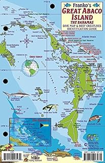 Great Abaco Island Bahamas Dive Map & Reef Creatures Guide Franko Maps Laminated Fish Card