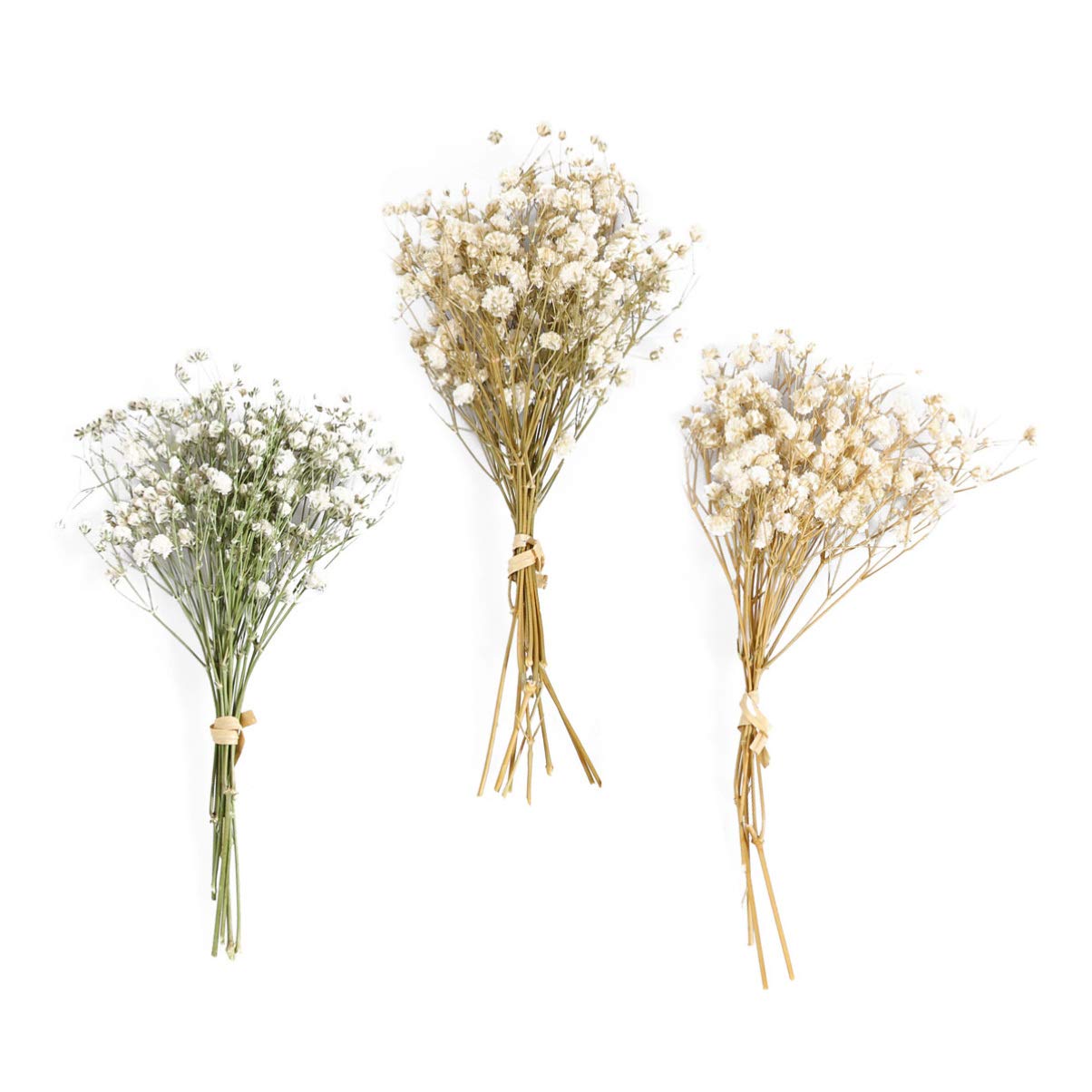 HEALLILY Baby Breath Dried Flowers Bouquet Rustic Flower Bundles Floral Arrangements Supplies Beige, 18*9.5cm - Image 4