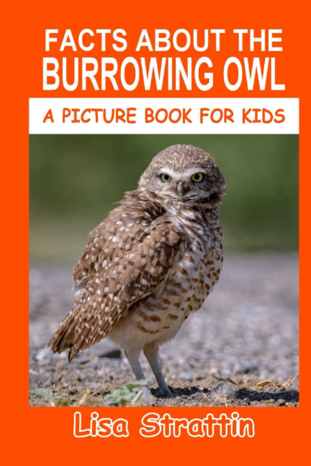 Facts About the Burrowing Owl: Volume 18 (A Picture Book For Kids)