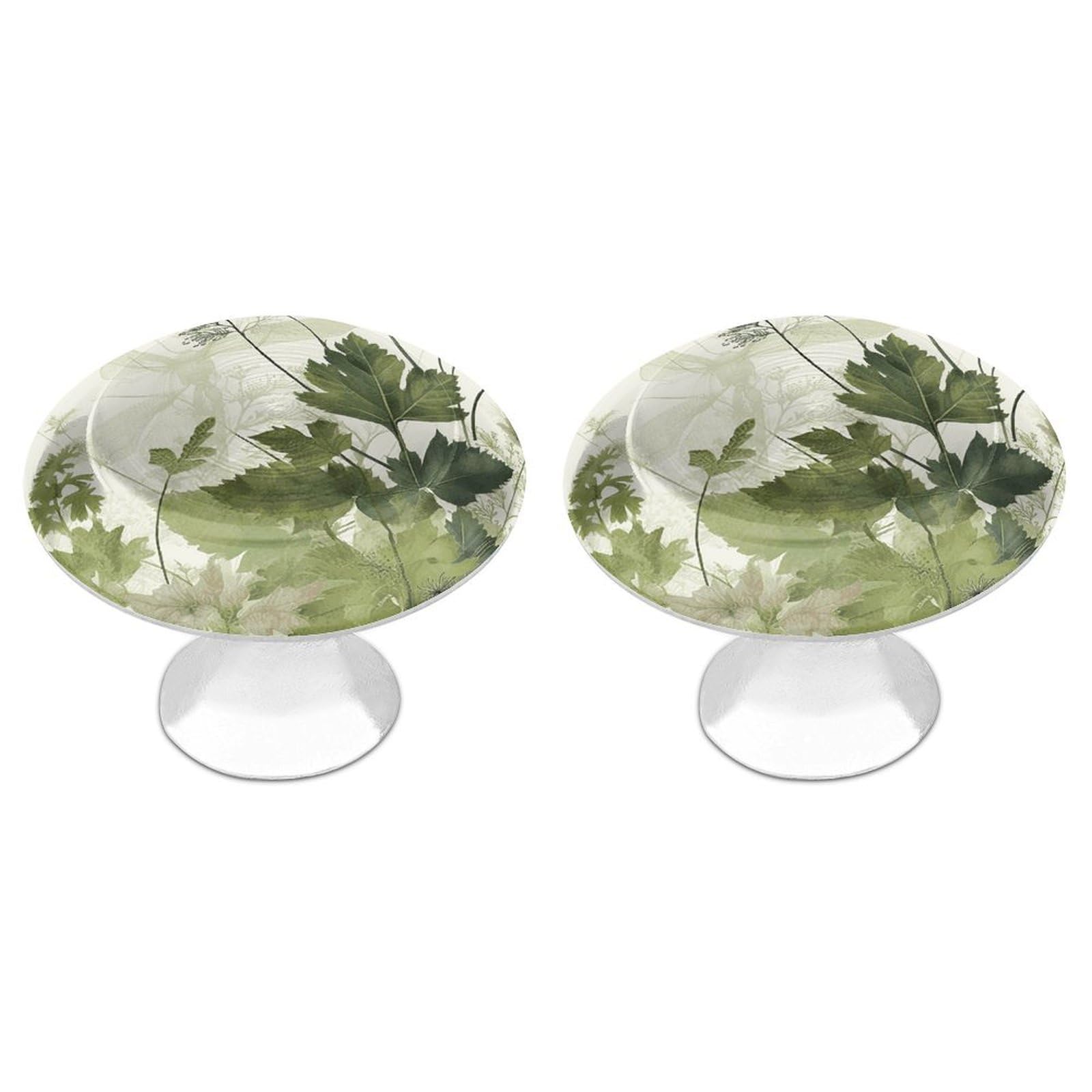 NTVOWPZO Cabinet Handles Round Drawer Pulls Foliage and Herbs with Dragonflies Winged Dresser Knobs for Cabinets and Drawers Handle for Bathroom Cupboard Drawers Cabinet Pulls for Kitchen Door