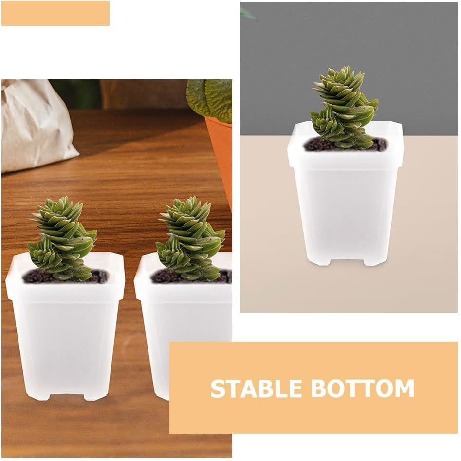 BESPORTBLE 50pcs Small Plant Pots: Transparent Square Nursery Pots for Succulents - Plastic Planter Indoor Gardening and Home Decoration