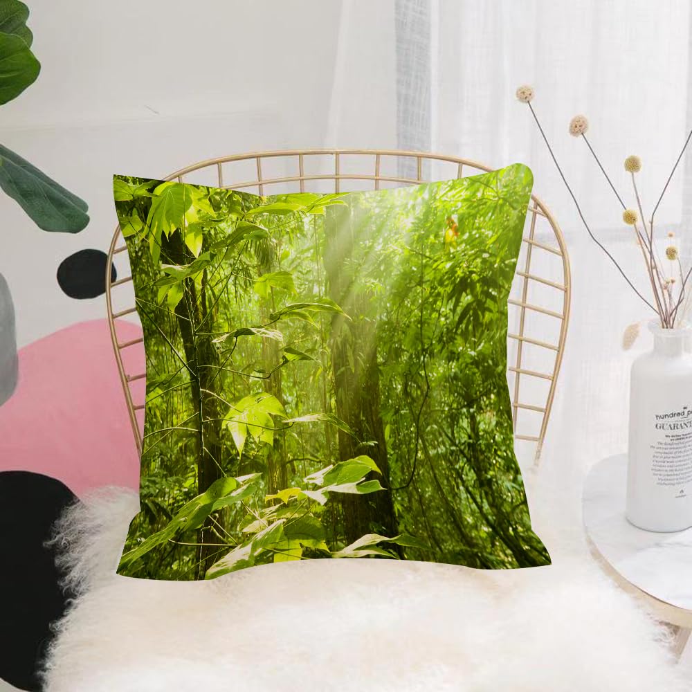 HYOSXW Cushion Cover,Throw Pillow Case Home Decorative for Living Room Bedroom Sofa Chair 16X16 Inch,Nature, Forest with Sunray Foliage Leaf Branches Eco Jungle Misty Image,Pillowcase 40X40cm