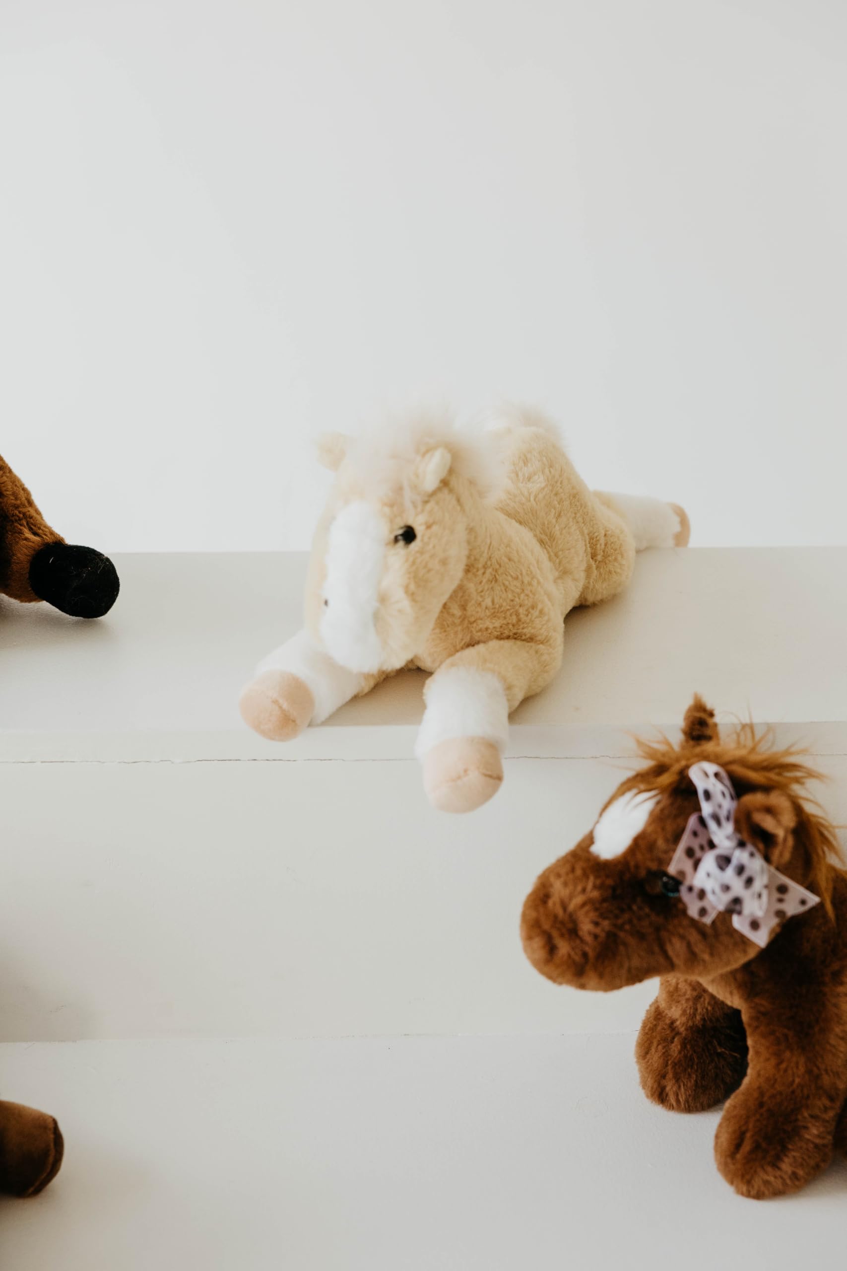 ぬいぐるみ動物園 大人気で欠品中のZOOMOオリジナルぬいぐるみ『ぽちゃまるピューマ』が