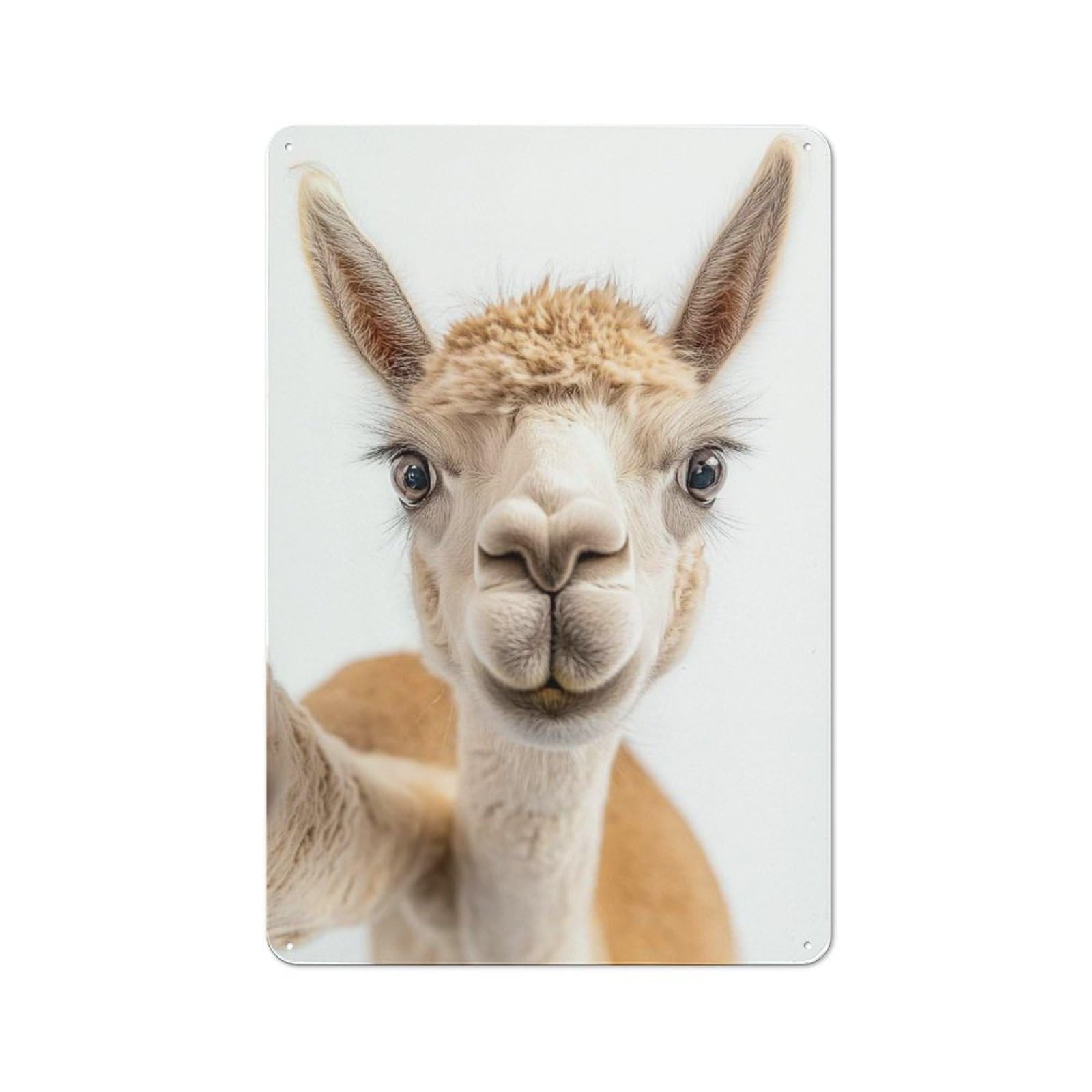 Junmoney A Funny Alpaca Taking A Selfie Vintage Metal Plaque 30X20cm, Diner Style Decor For Coffee Bar, Kitchen, Bistro Or Tea Corner
