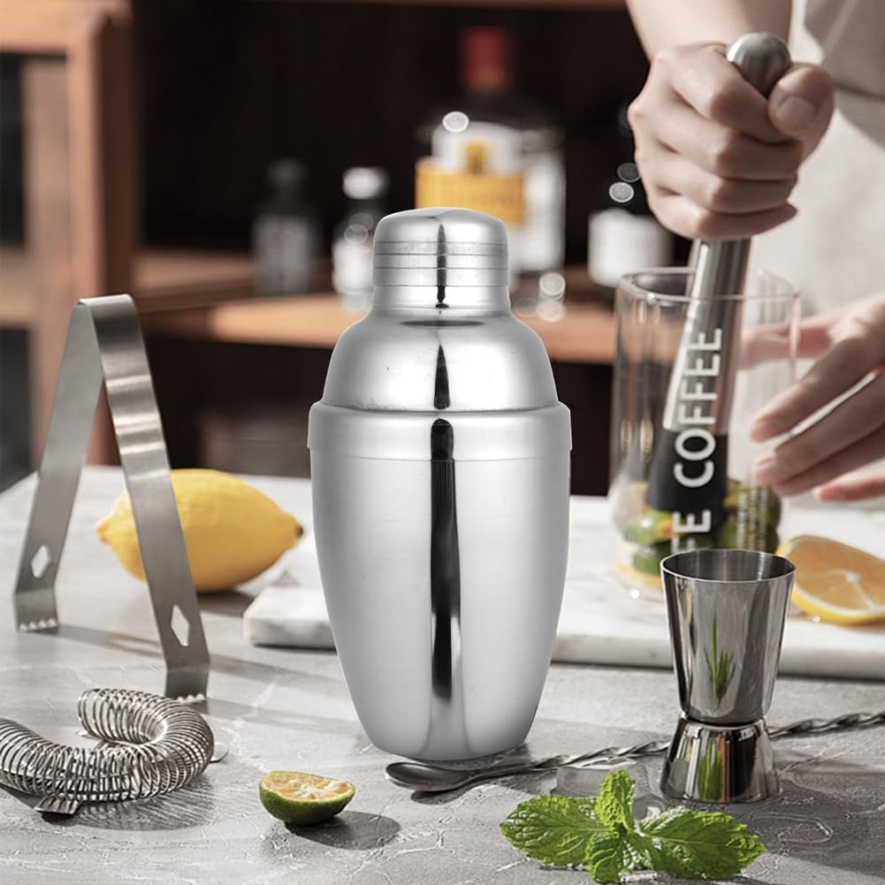 Lot de 6 mini shakers à cocktail en acier inoxydable avec passoire 250 ml