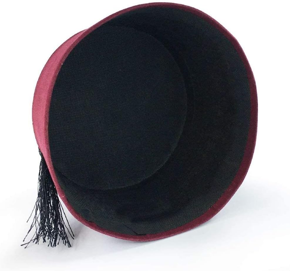 BAYKUL Dr. Who Turkish Shriner Fez Hat Felt, Arabian Moroccan Aladdin Abu Costume Tassel