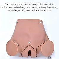 Vista 4 de Modelo de pelvis de demostración de parto, simulador de parto de tamaño real modelo anatómico pélvico de entrega molde de enseñanza de maternidad