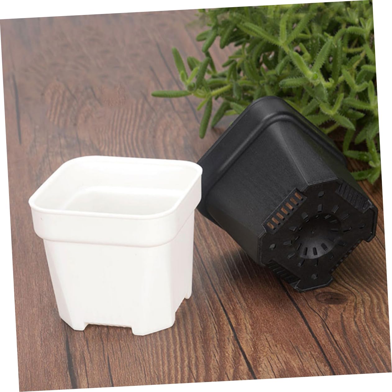TOYANDONA 30 Pièces Pots de Fleurs Épais Godets de Semis Drainage pour Plantes Bonsai Accessoire de Jardinage
