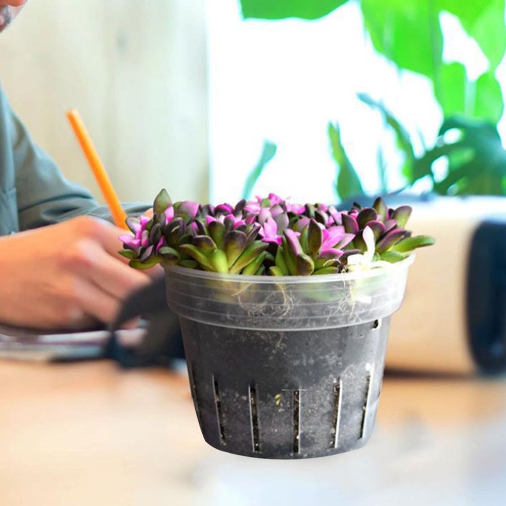 Meshpot 2 vasi in plastica per orchidee da 12,7 cm, con fori