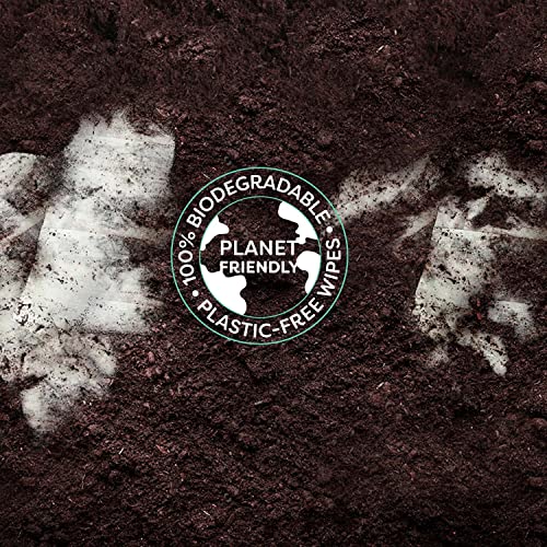 RAWGANIC Salviette viso rinfrescanti puri con aloe...