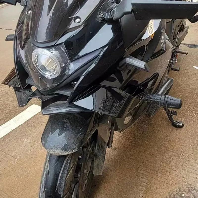 Ailes latérales fixes pour GSX250R avec carénage de becquet aérodynamique